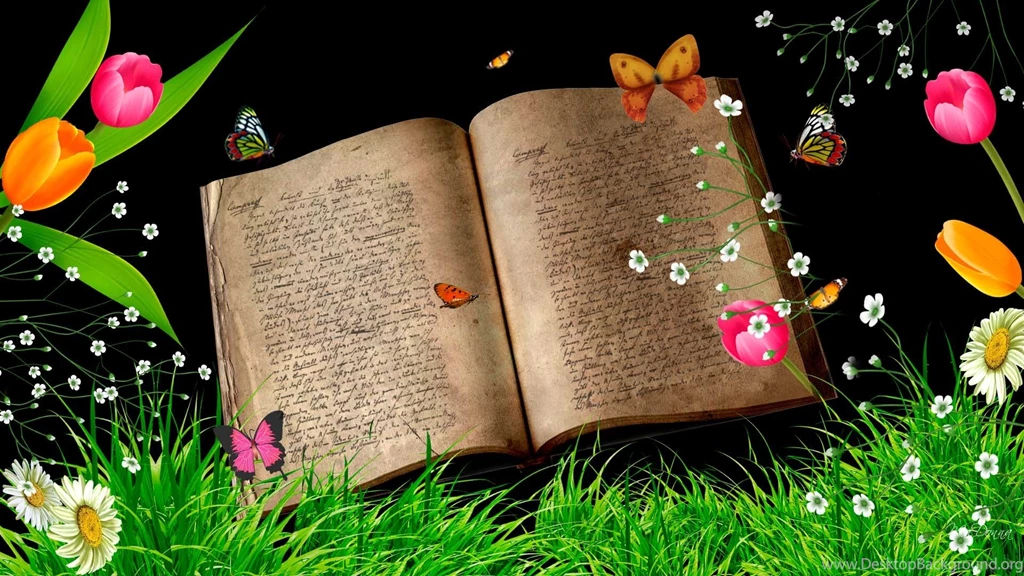 Wallpapers Books Reading Student Images A Book 1920x1080