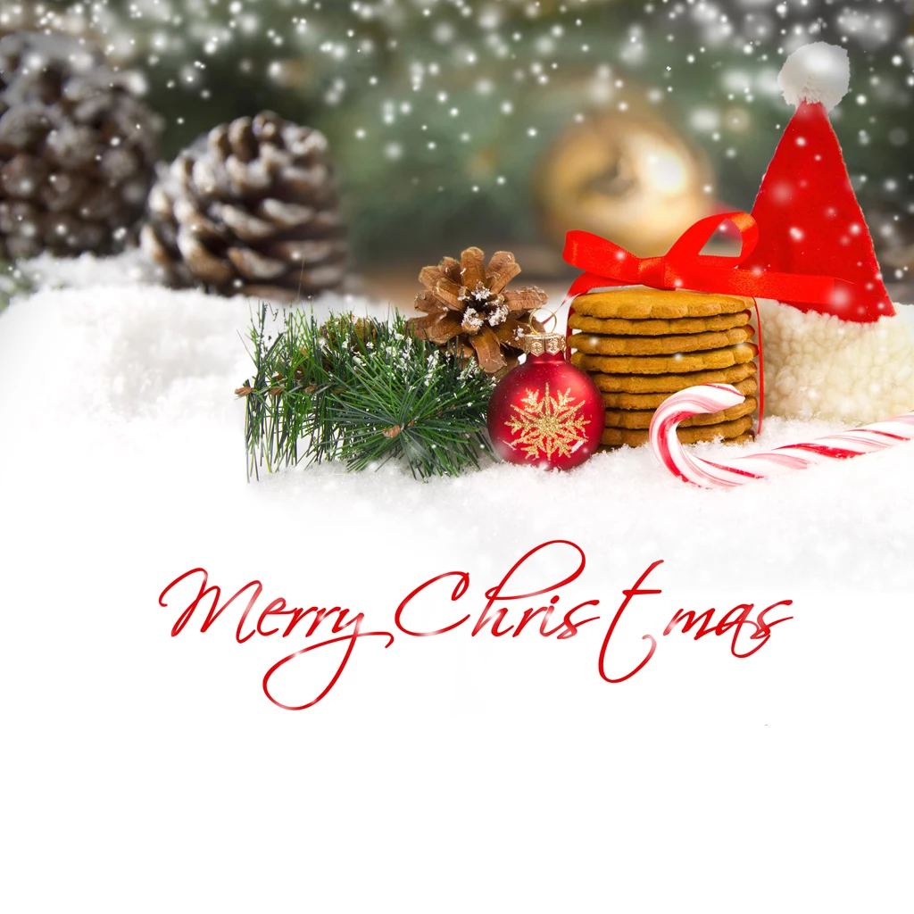 Merry_Christmas_Background_with_Pine_Cones.jpg?m=1445680785