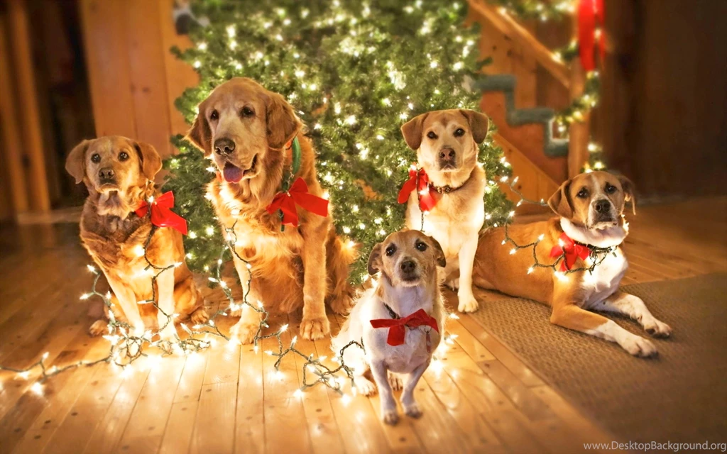Christmas Eve Wallpapers HD Download