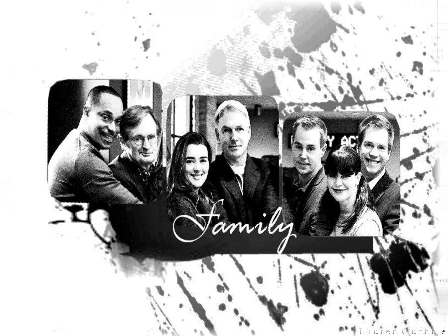 Punconstarvi: Ncis Wallpapers