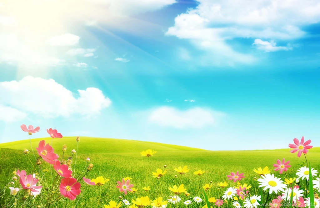 Spring Desktop Wallpapers