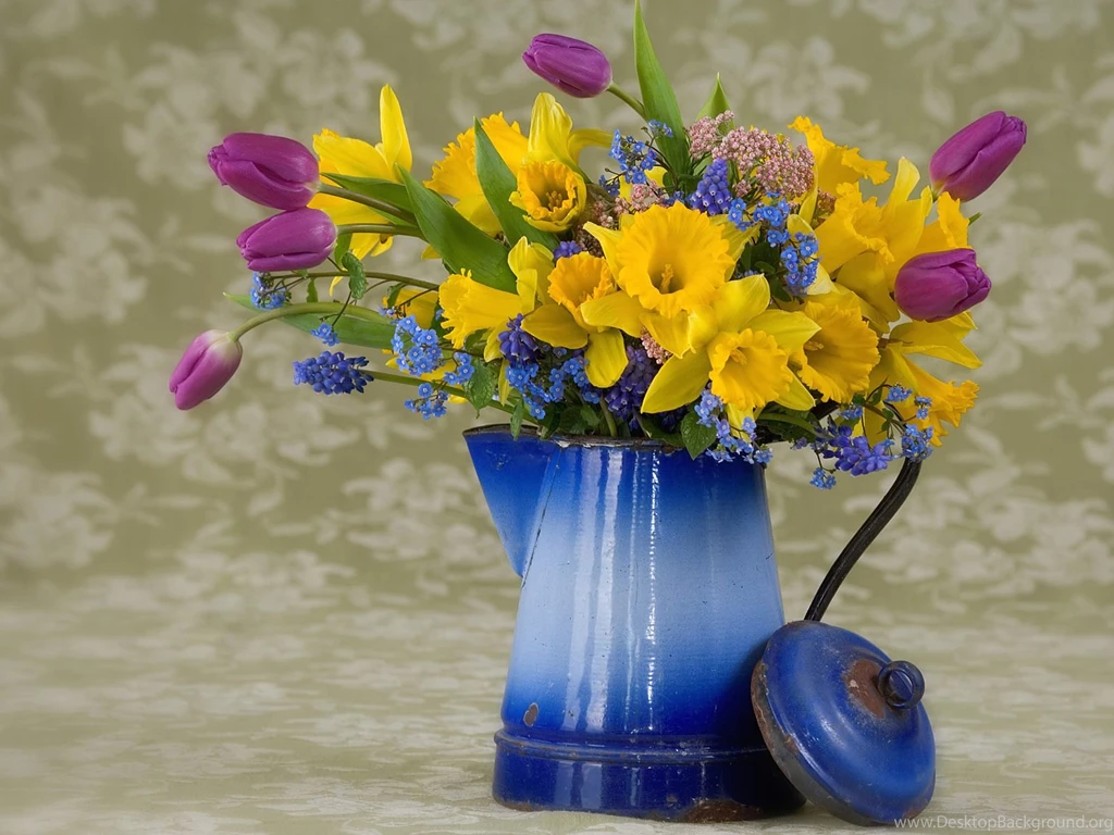 Spring Flower Pictures Free Beautiful Flowers