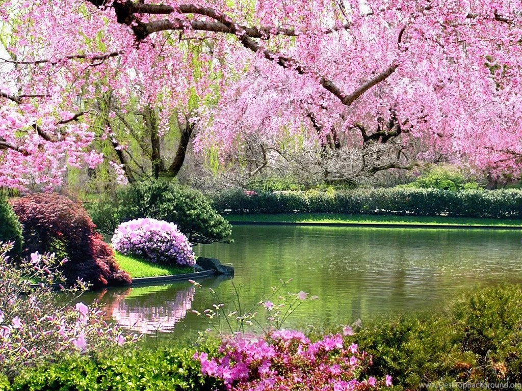 Springtime Wallpapers