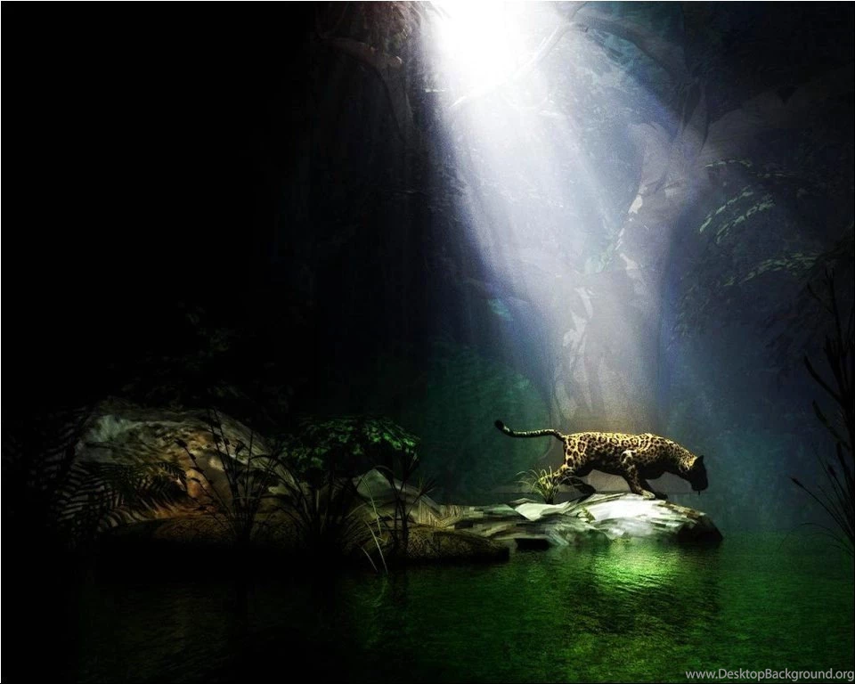 Best Wallpapers For PC All Wallpapers New