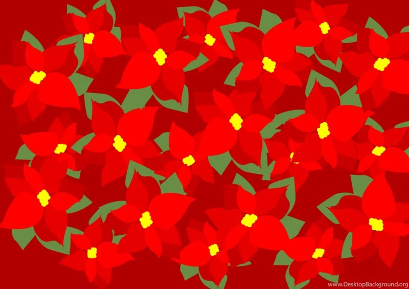 Poinsettia Wallpapers By Starnova63 On DeviantArt
