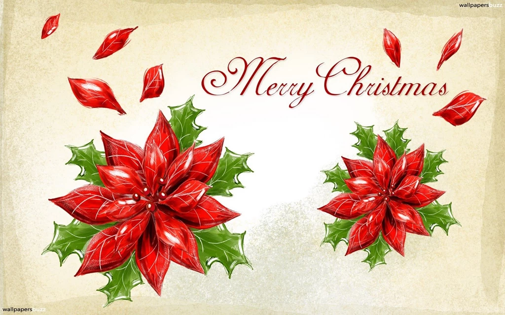 Merry Christmas Poinsettia Hd Wallpapers ~ The Wallpapers Database