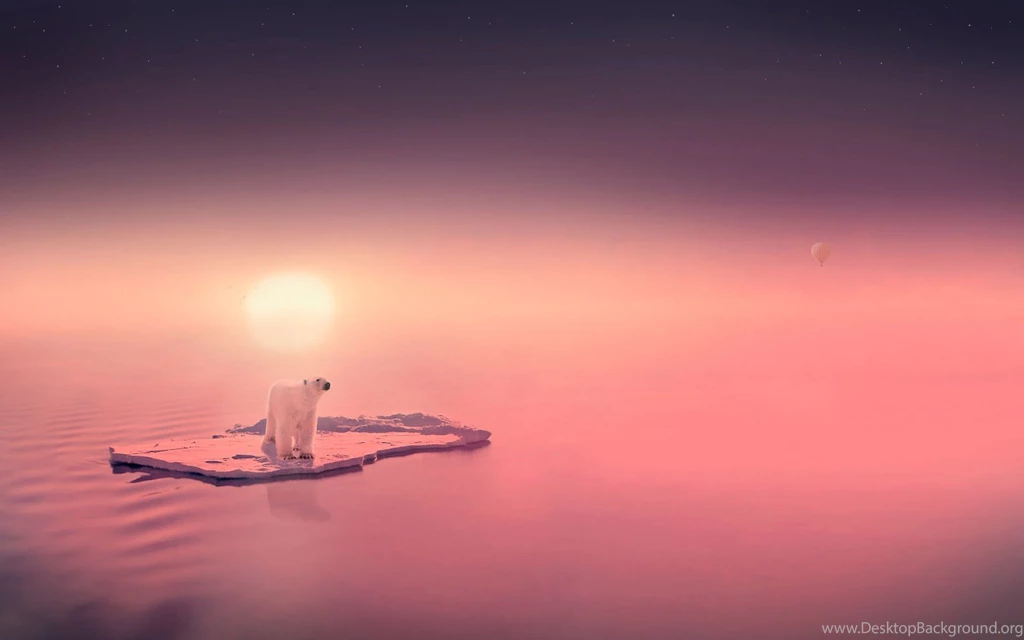 White Polar Bear Animal