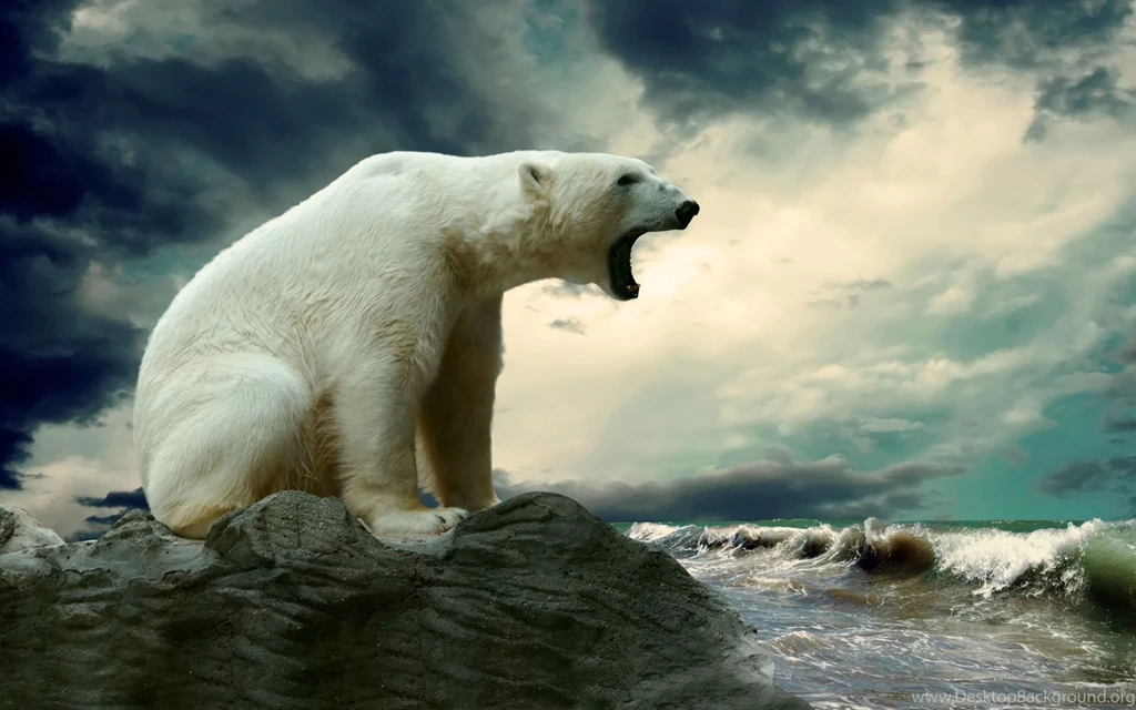 Polar Bear Computer Wallpapers, Desktop Backgrounds