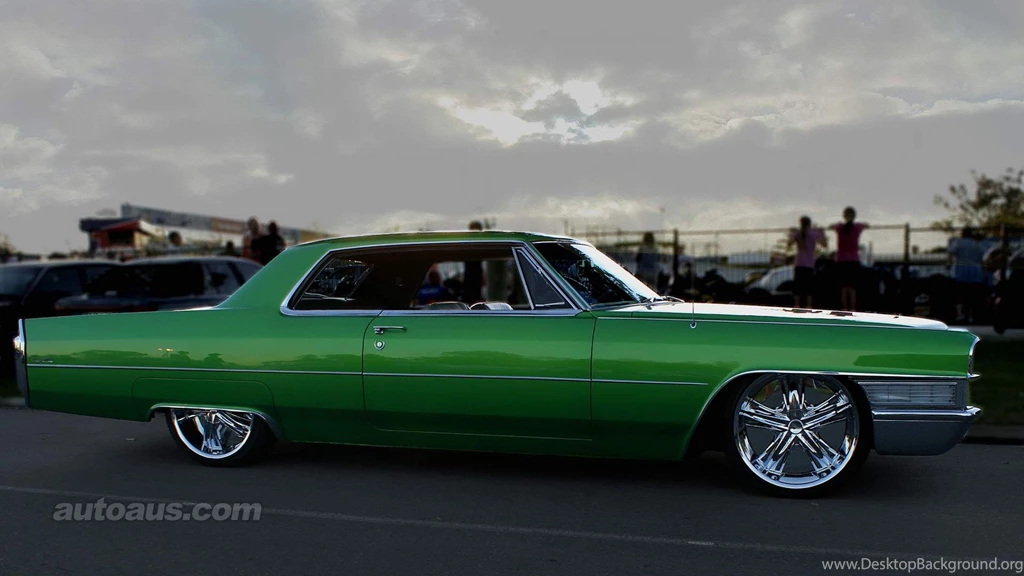 AMERICAN MUSCLE WALLPAPER   (