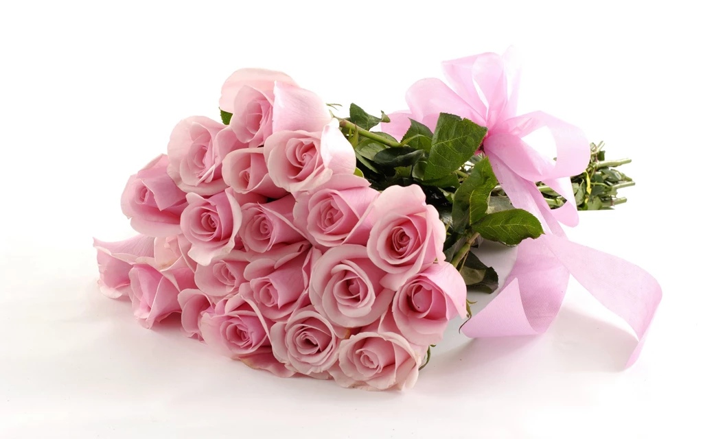 Pink Roses HD Wallpapers Free Download