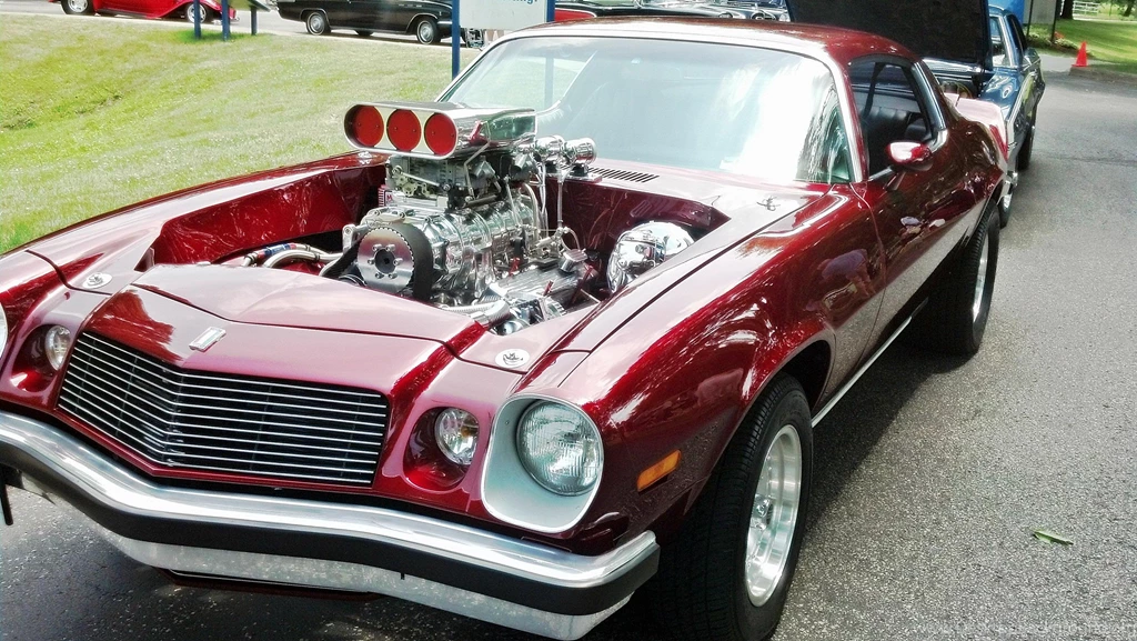 All American Muscle   (