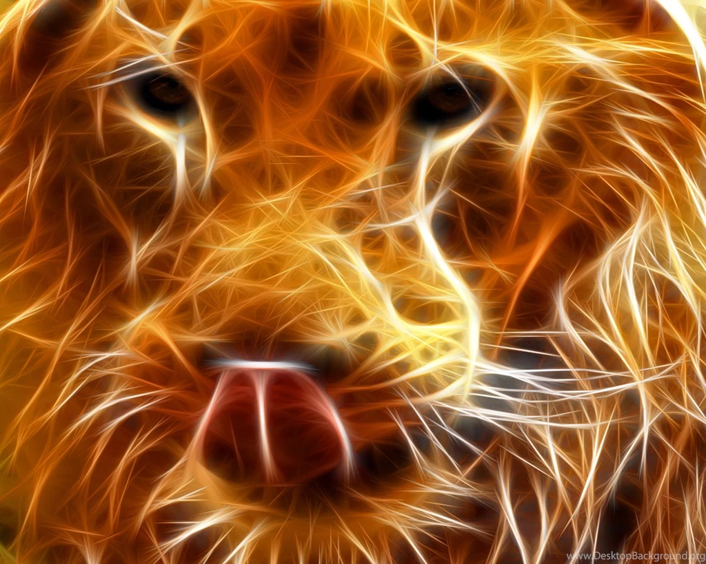 Animals 3D Wallpapers