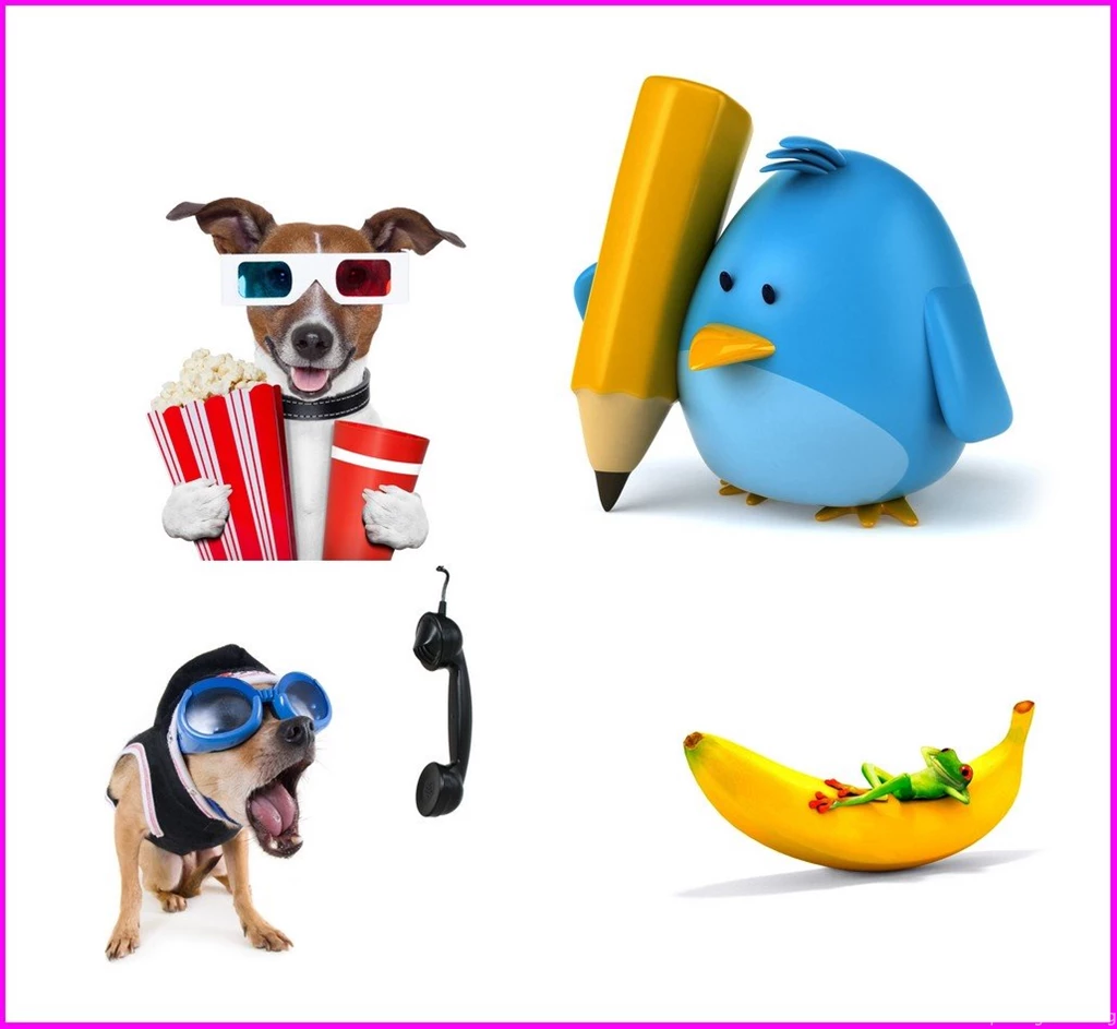 Best Cut Funny Desktop Wallpapers Free Download