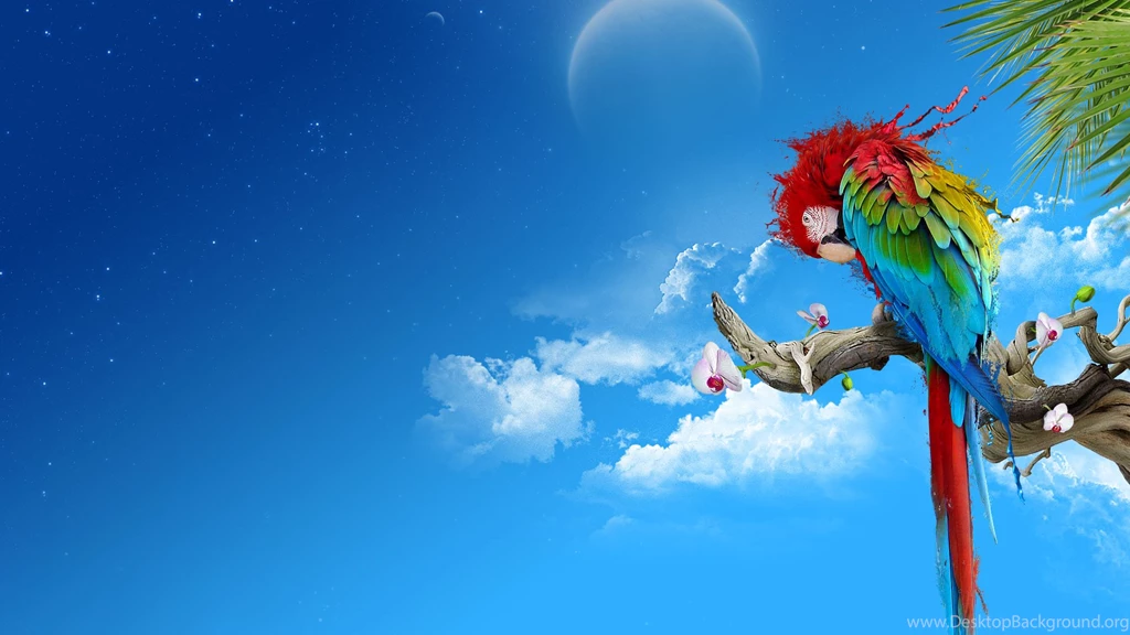 High Definition Wallpapers