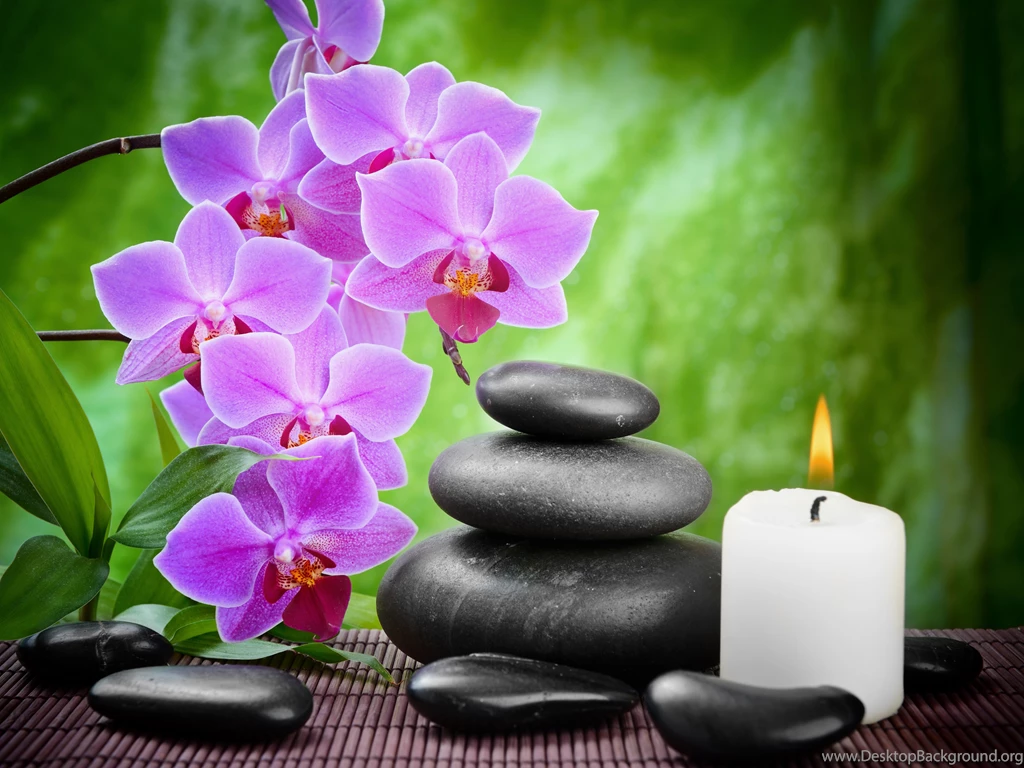 Green_Spa_Background_with_Orchids.jpg?m=1399676400