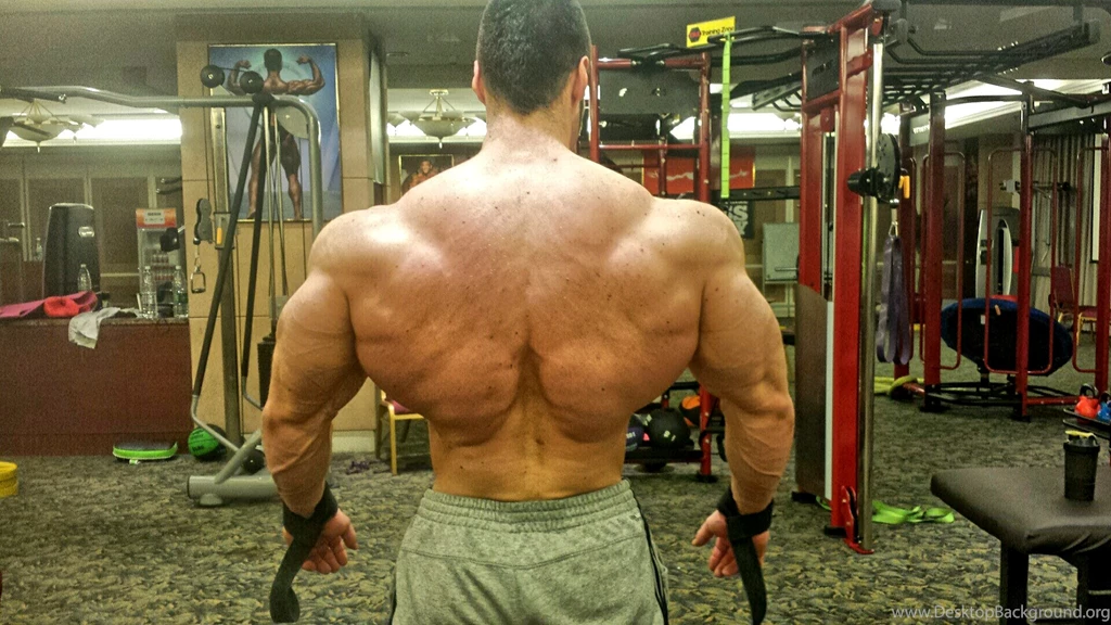 Bodybuilders With Pro Card Potential   Page 4