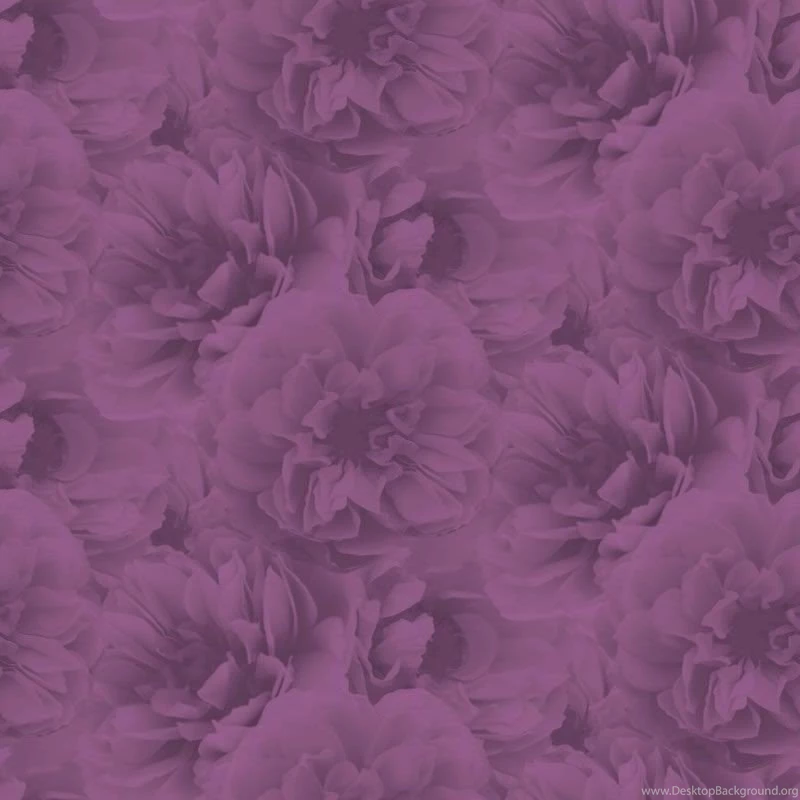 Decor Supplies