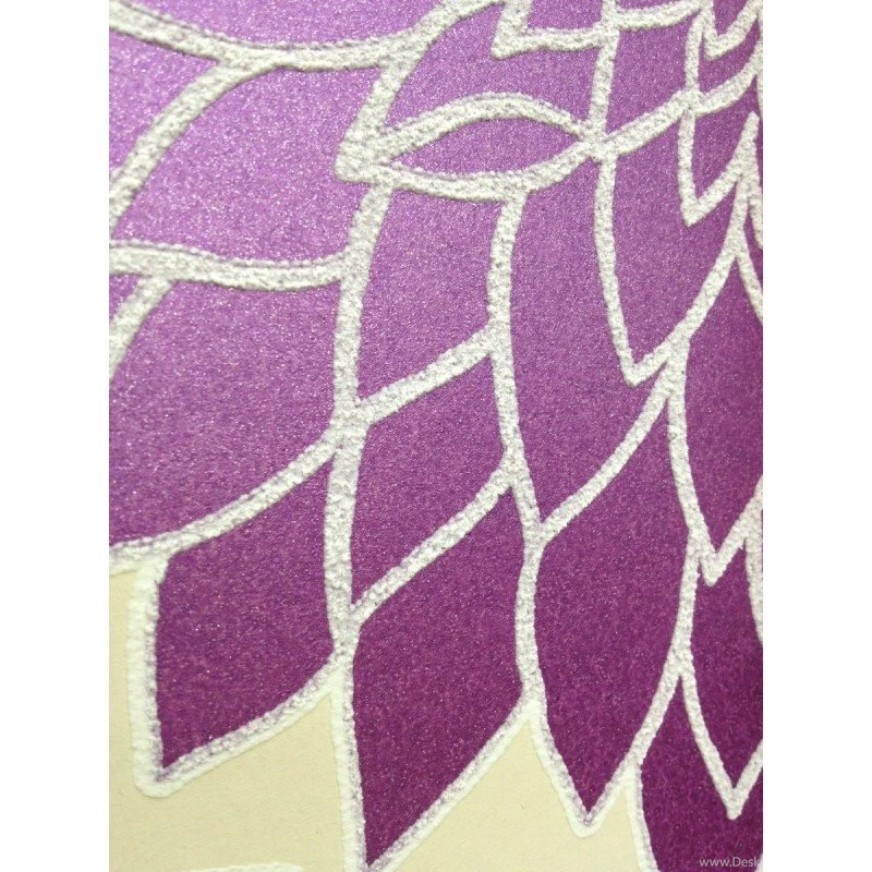 Clarissa Zoom 2 800x800.JPG