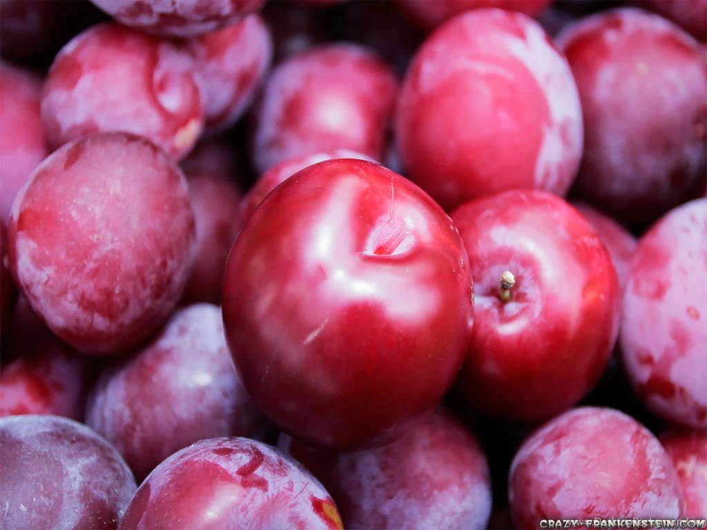 Plum Fruit Wallpapers Crazy Frankenstein