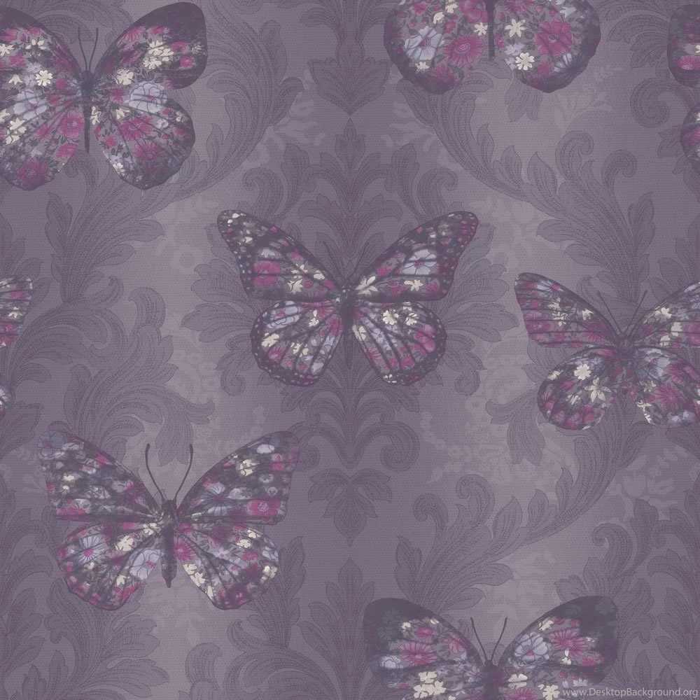 Midsummer Plum Wallpapers At Wilko.com