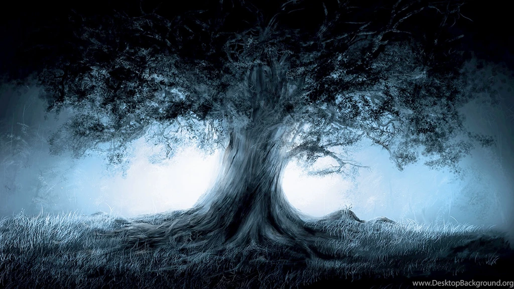 Lonely Tree In A Dark Forest Wallpapers
