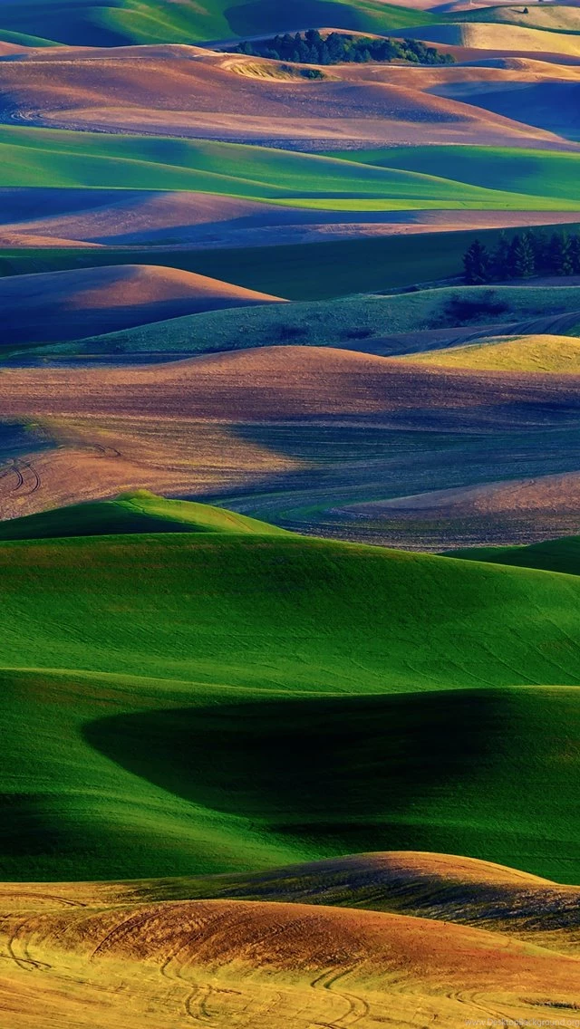 Amazing Colorful Hills iPhone 5s Wallpapers Download