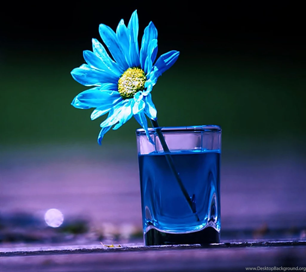 Mobile Phone Wallpapers Download