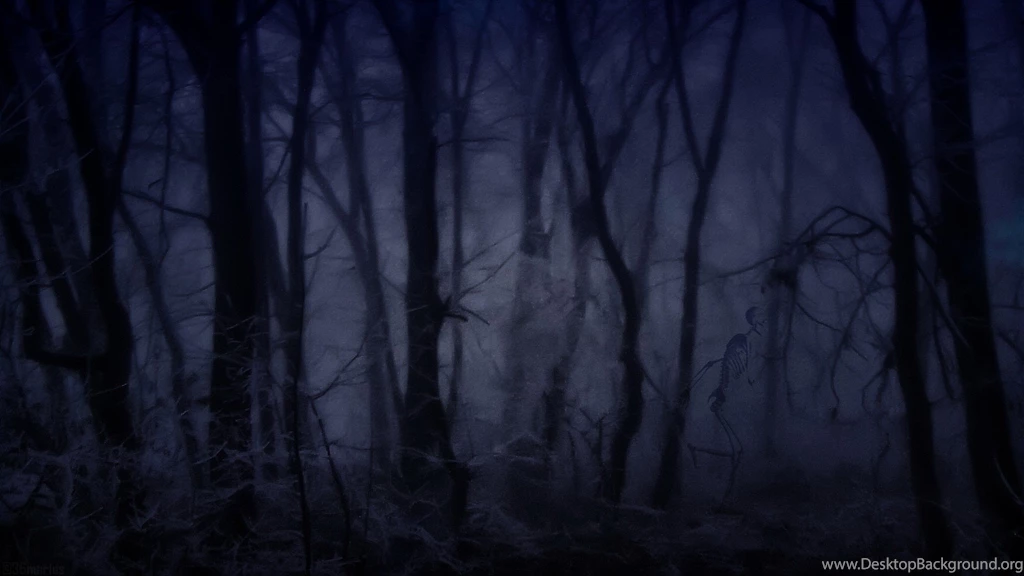 Creepy Forest Wallpapers F4T6W   HD Wallpapers Desktop Backgrounds