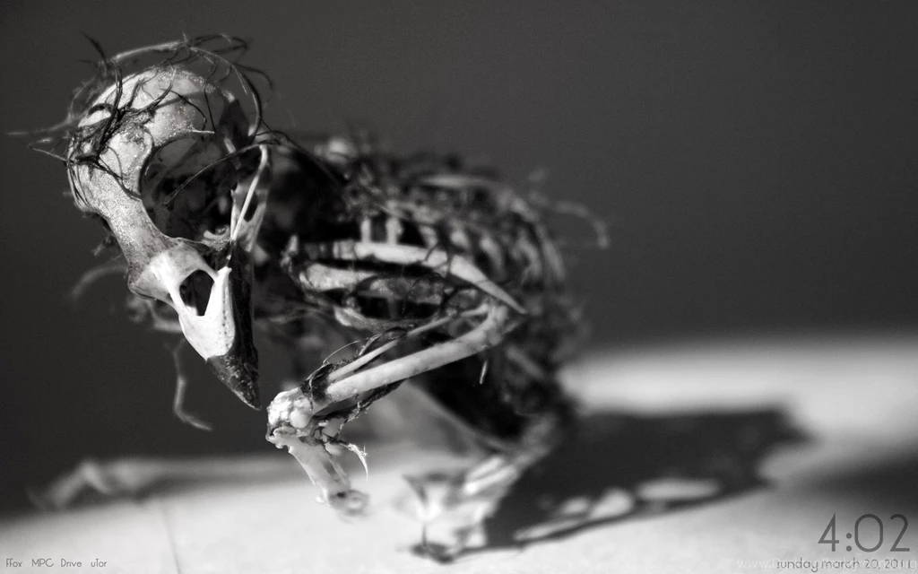 Creepy Computer Wallpapers, Desktop Backgrounds