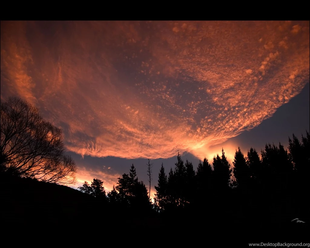 Weird Wallpapers 543 Desktop Top