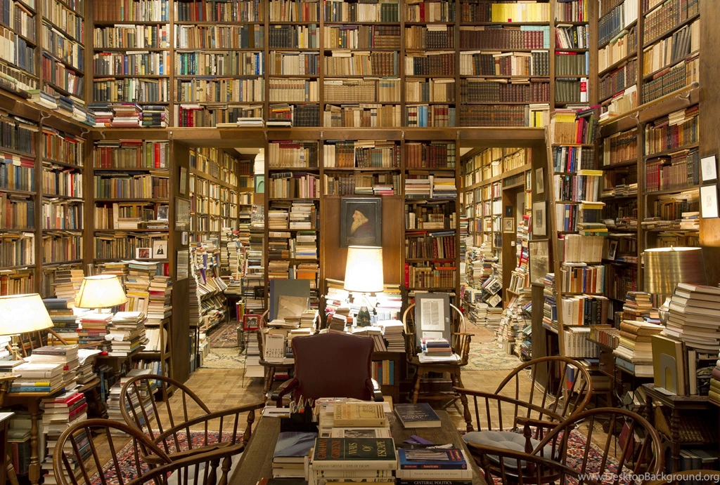 Find The Cat In The Library Among The Books Wallpapers And Images ...