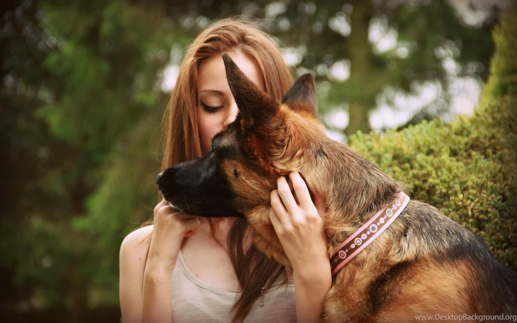 10 Facts About German Shepherd Dog You Need To Know ...