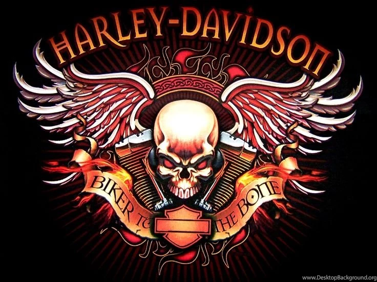 HD Pics Harley Davidson Motorcycles Custom Bikes Wallpaper, HQ ...