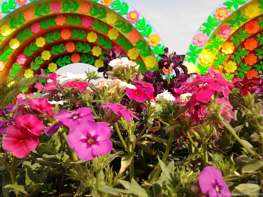 Cool Images, Taken With Your Cell Phone