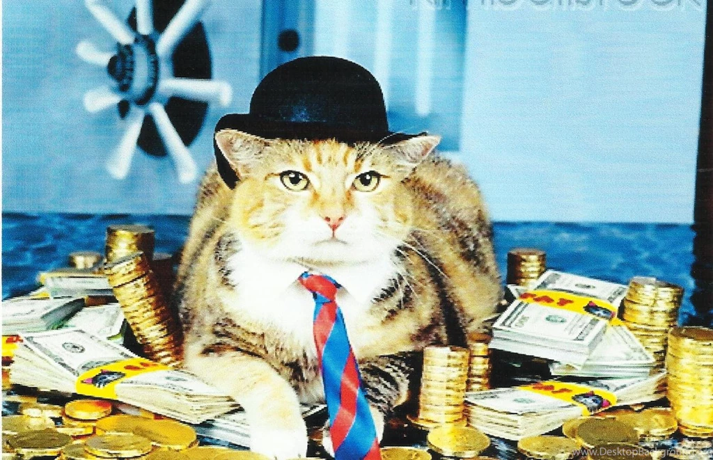 A CALICO CAT IN A HAT WALLPAPER (