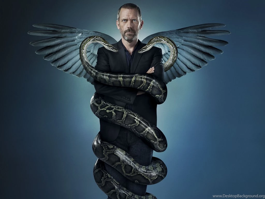 Dr. Gregory House Dr. Gregory House Wallpapers (31955005) Fanpop