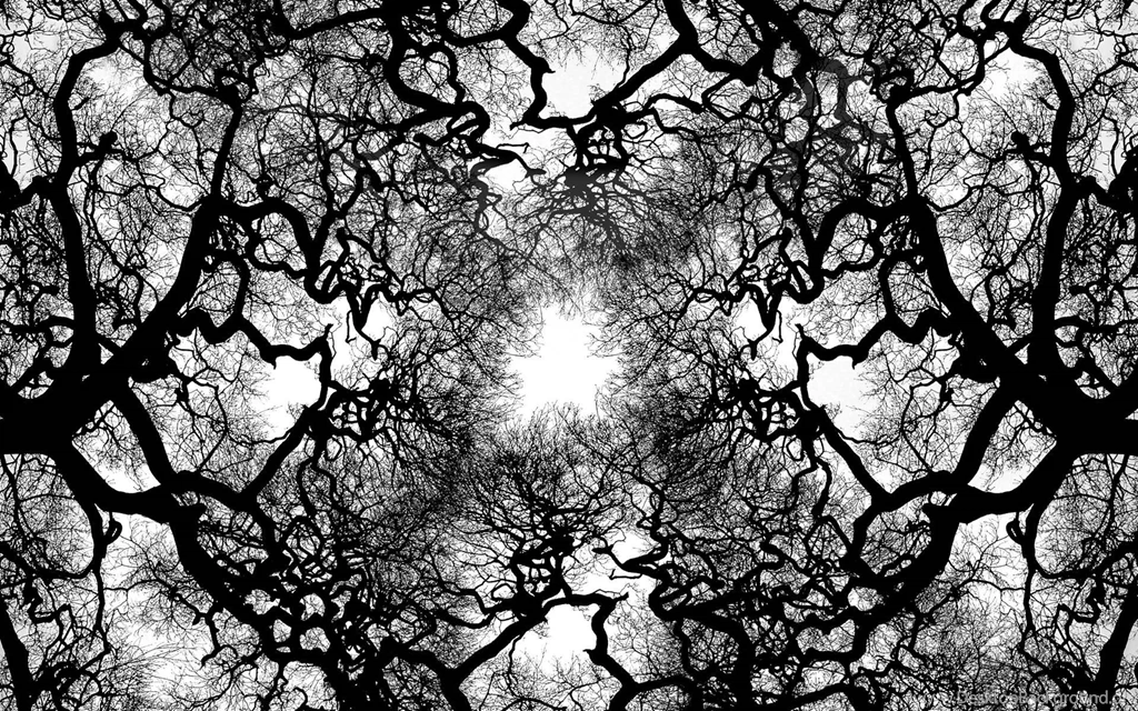 Cool Abstract Tree Abstract Cool Tree Wallpapers