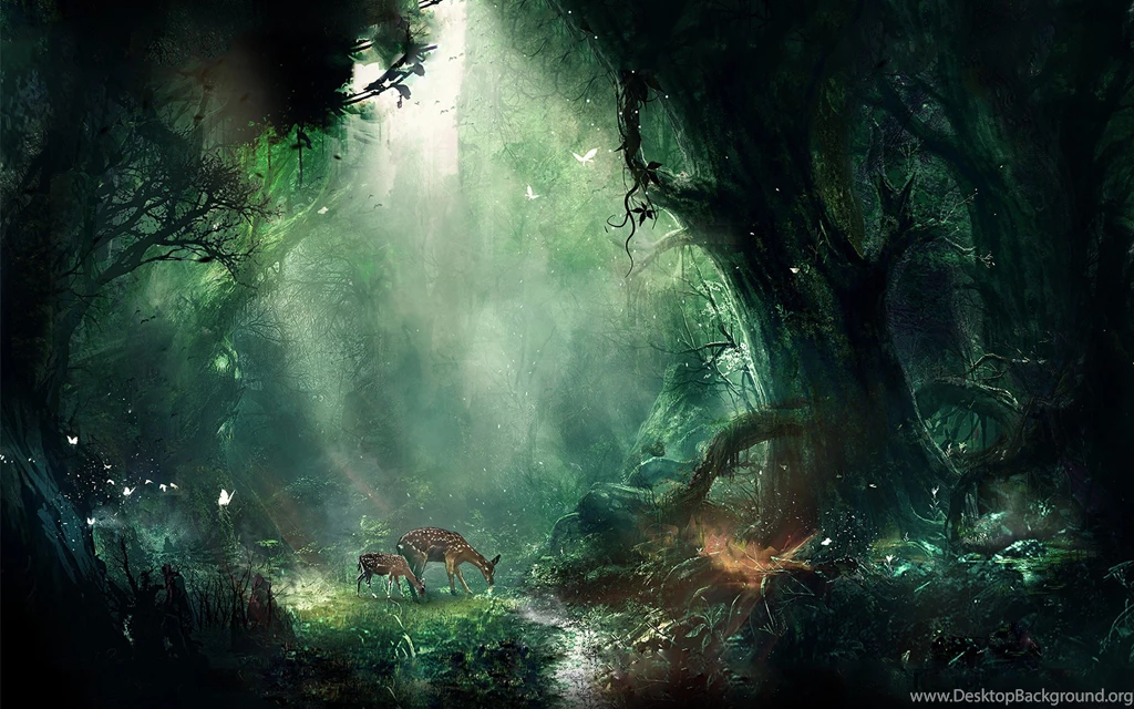 Fantasy Forest Ultra HD 4K Wallpapers Download High Quality