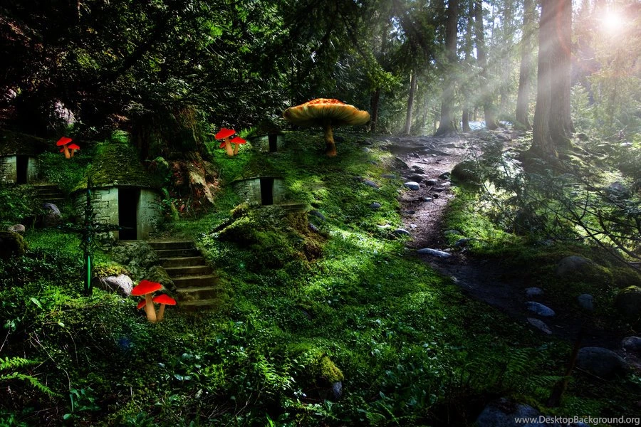 Fantasy Forest By Unreallegion On DeviantArt