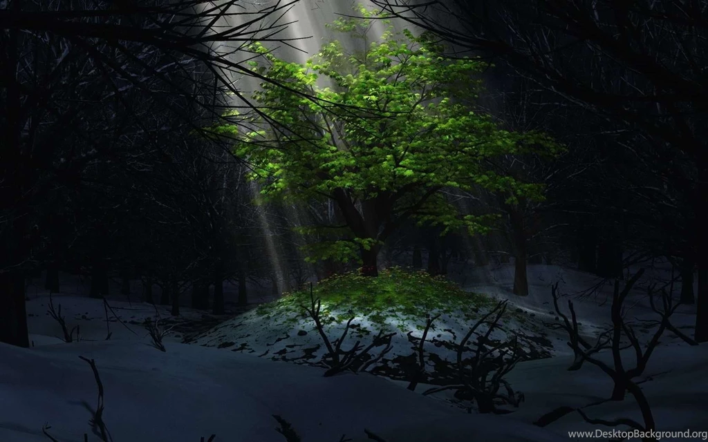 Light Tree Wallpapers HD Wallpapers Archives HD Wallpapers ...