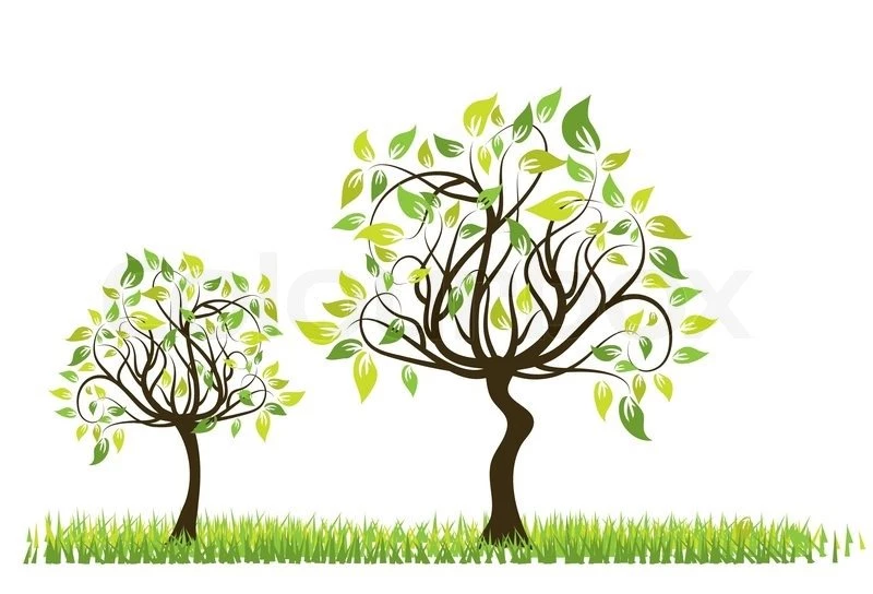 Coffee Tree Background, Vector Illustration