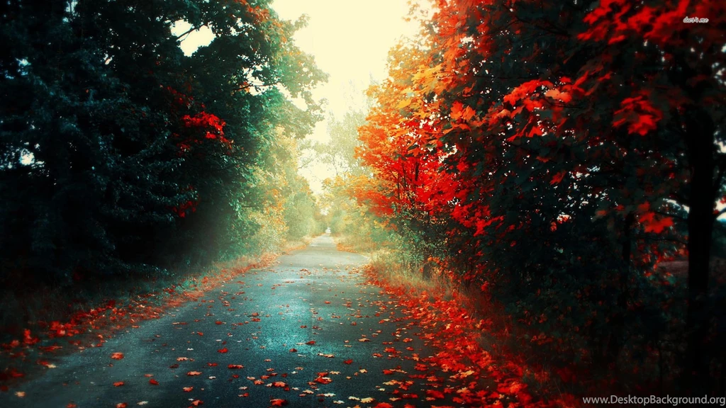 Share Your Wallpapers Page 96