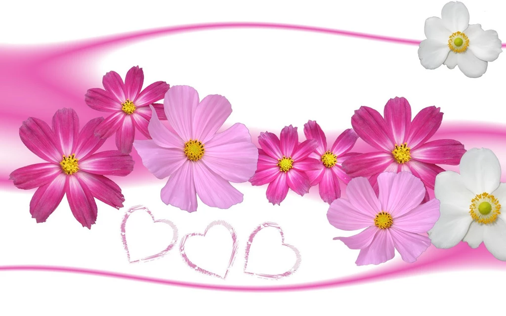 3d Flower Wallpapers