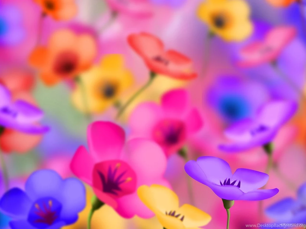 Colorful flowers.jpg