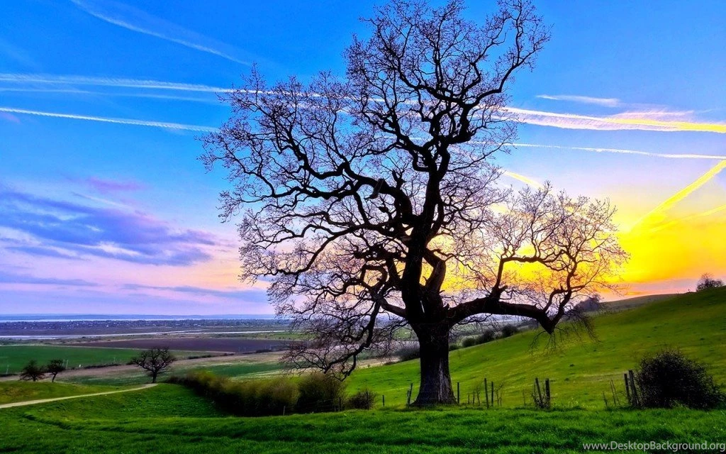 Computer Desktop HD Wallpapers