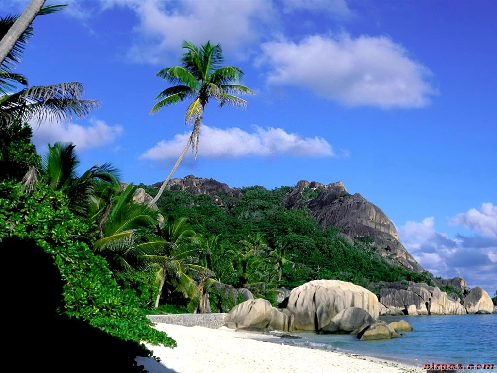 Free Downloadable Desktop Wallpapers 3 Items