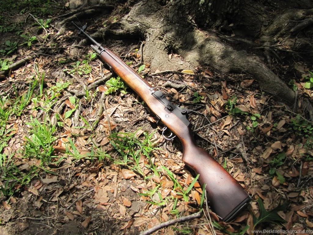 Gasguns.info Forum • View Topic WE M14