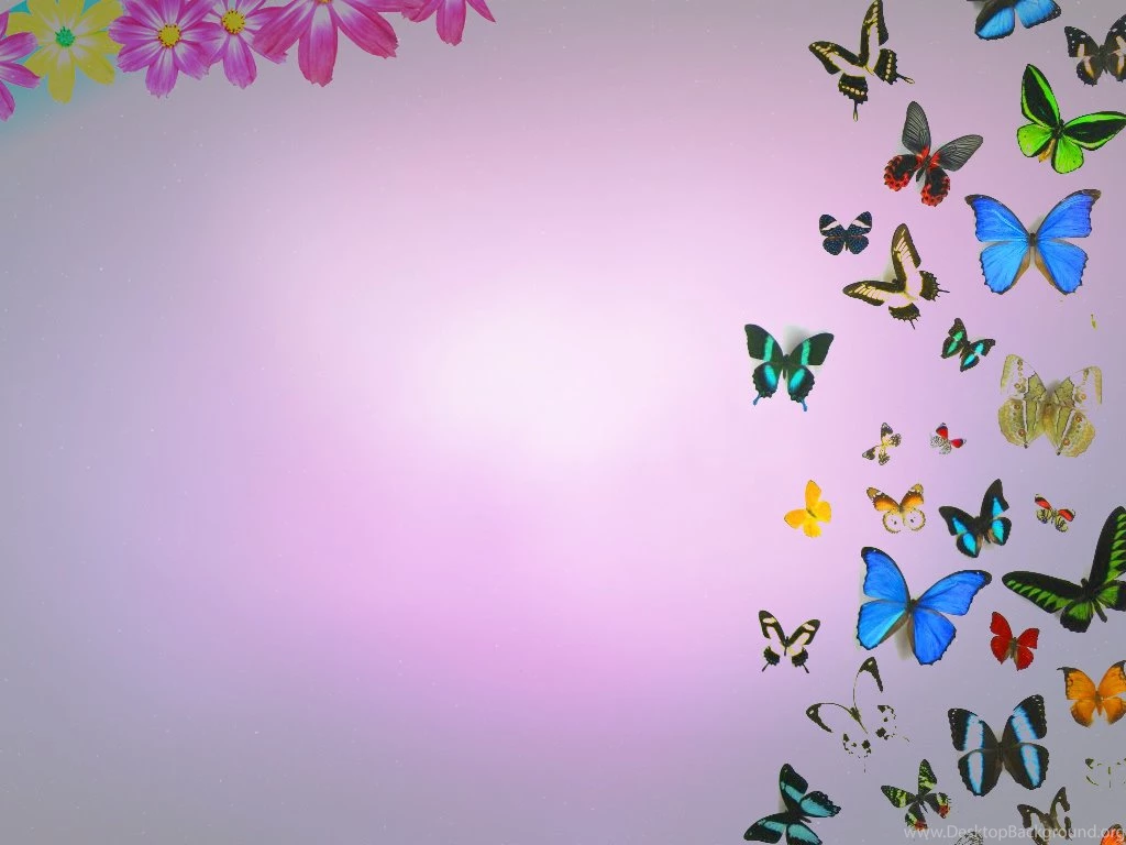 Butterflies And Flowers Backgrounds