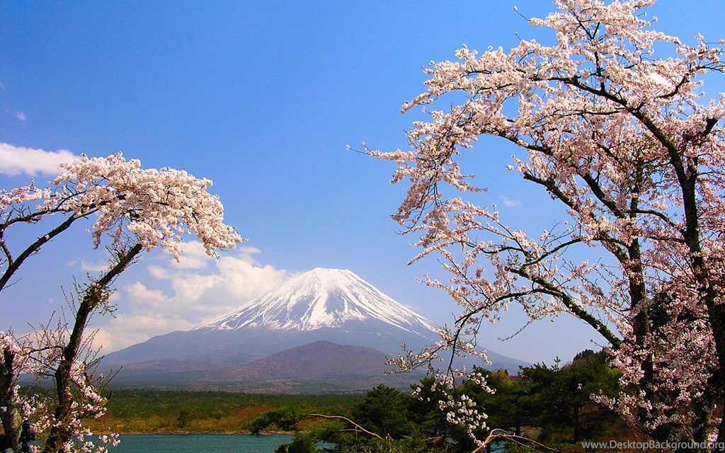 Mount Fuji Japan Widescreen Wallpapers