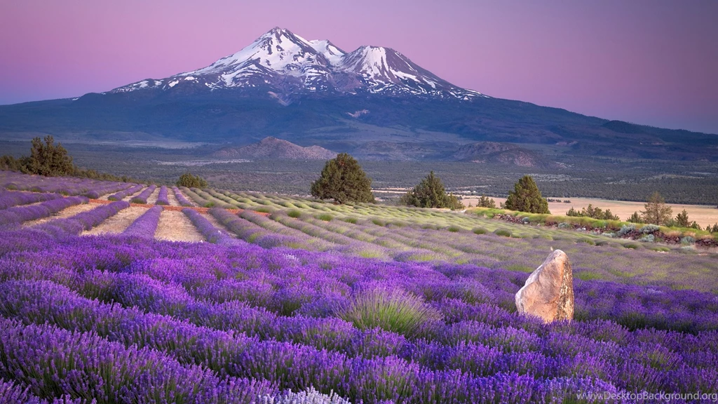 Mount Fuji Wallpapers High Definition